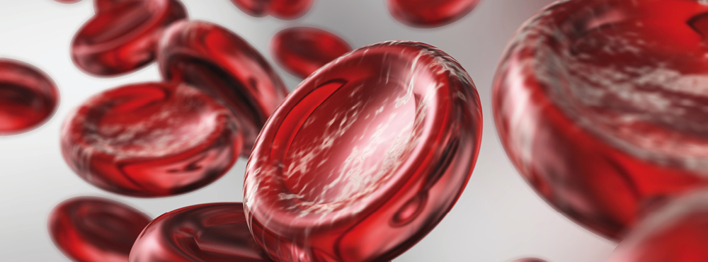Hematologia