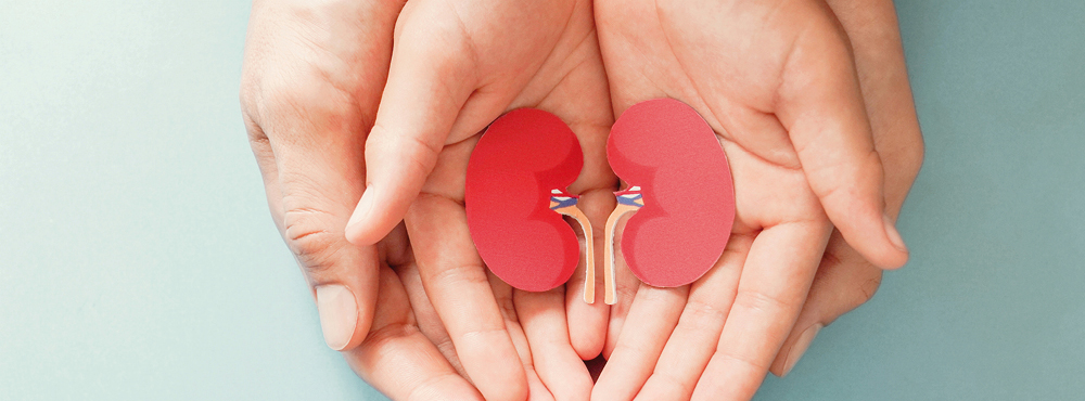 Transplante Renal